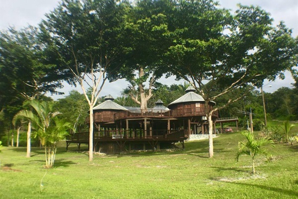 The Treehouse in the Cayo District of Belize, steps away from the Mopan River.