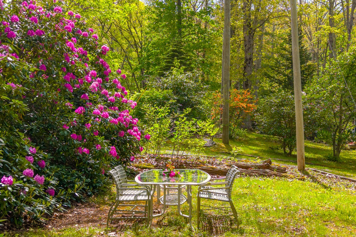 Dine in the Sun or Under the Stars in our Beautiful Lawn