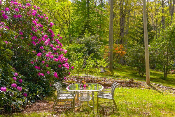 Dine in the Sun or Under the Stars in our Beautiful Lawn