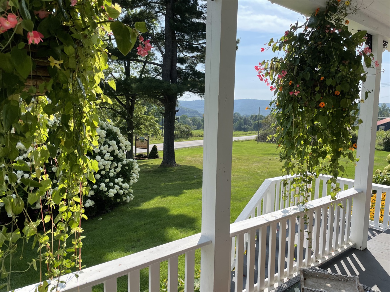 Beautiful flowers at Tuscan Hills