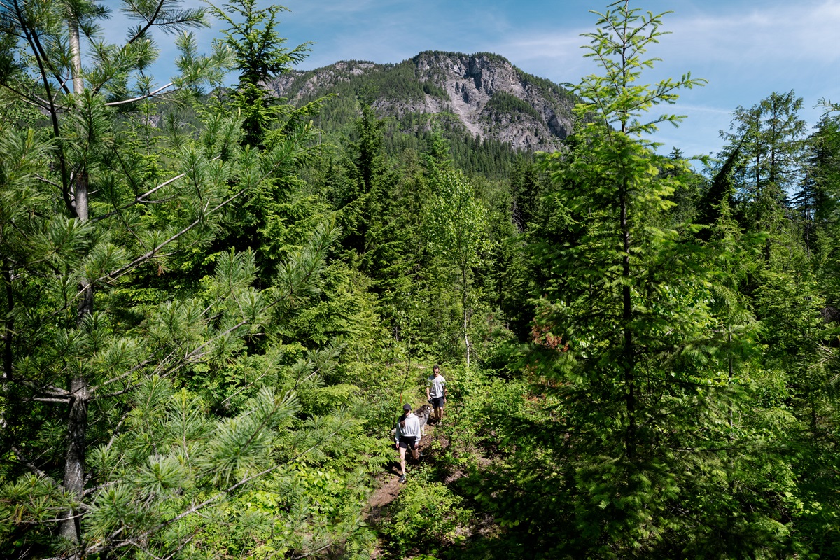 Take a stroll on our seasonal 1 km interpretive nature trail throughout our property.