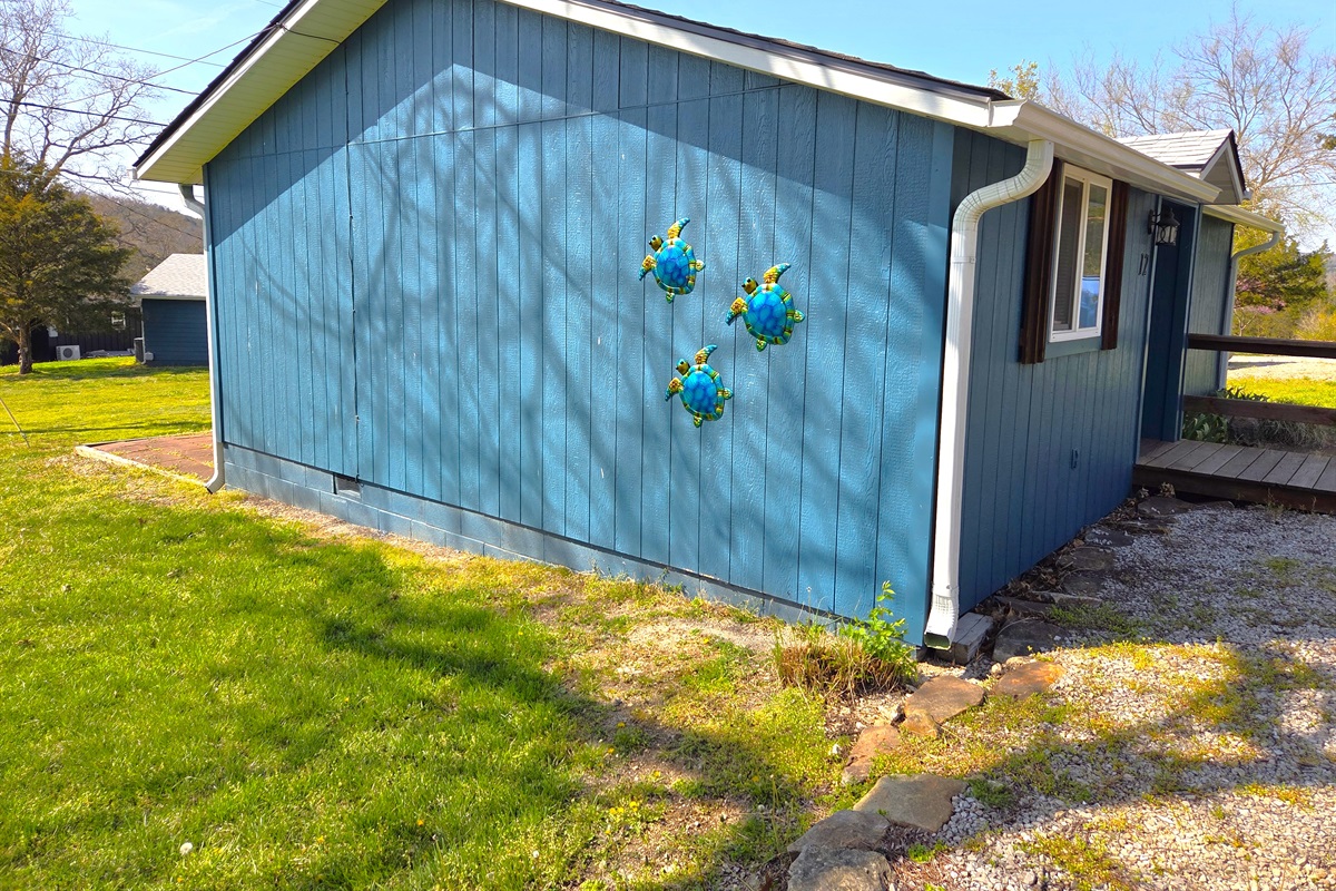 The turtles have decided to migrate to the lake! We find them to be good luck!