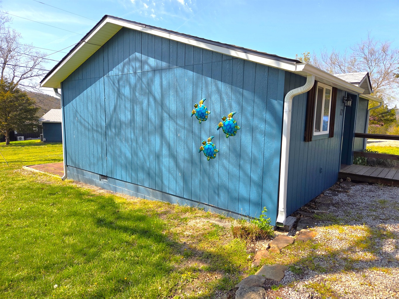 The turtles have decided to migrate to the lake! We find them to be good luck!