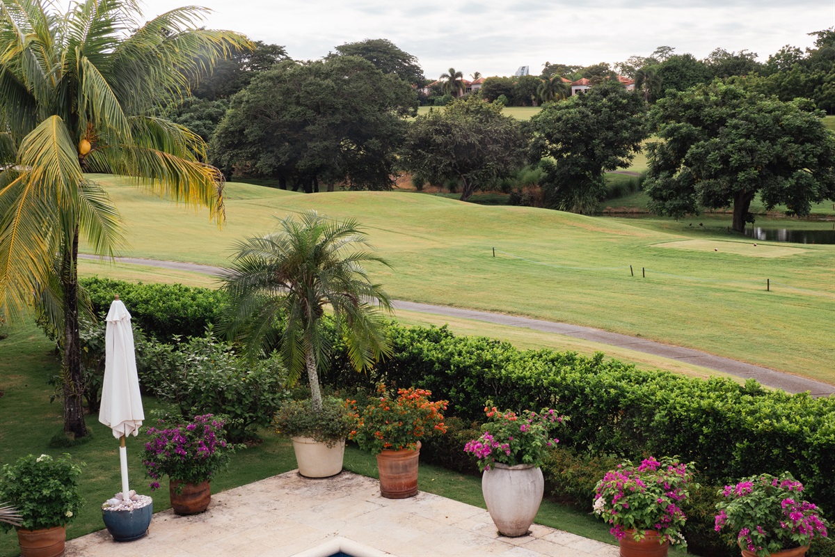 Golf Course just past the backyard hedge
