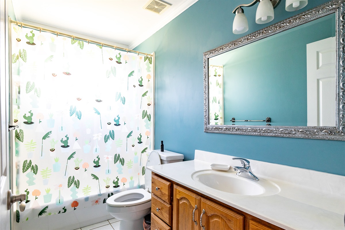 Hallway Bathroom w/ tub/shower combo