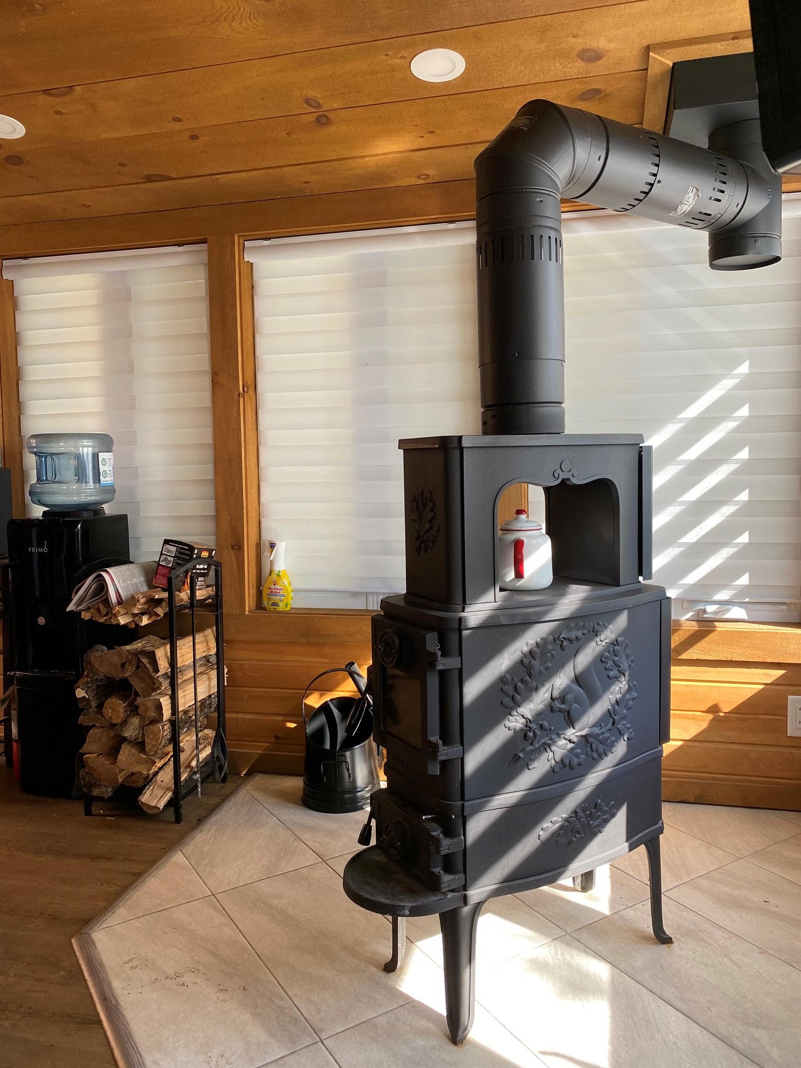 Wood stove and firewood in living area