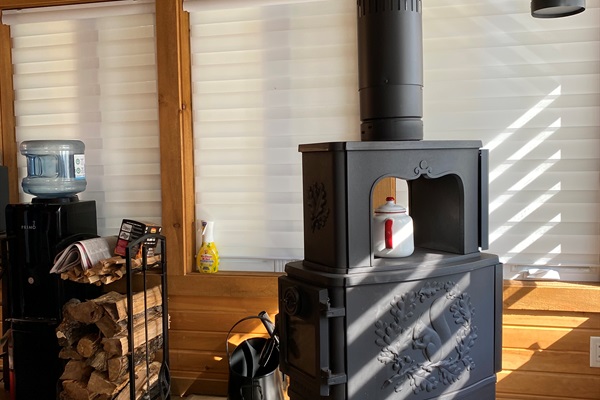 Wood stove and firewood in living area