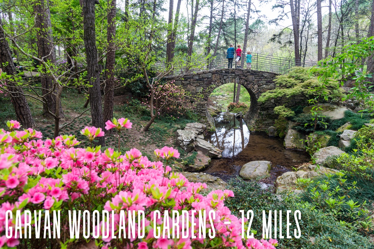Garvan Woodland Gardens (12 miles): A stunning botanical garden with walking trails, bridges, and seasonal blooms.