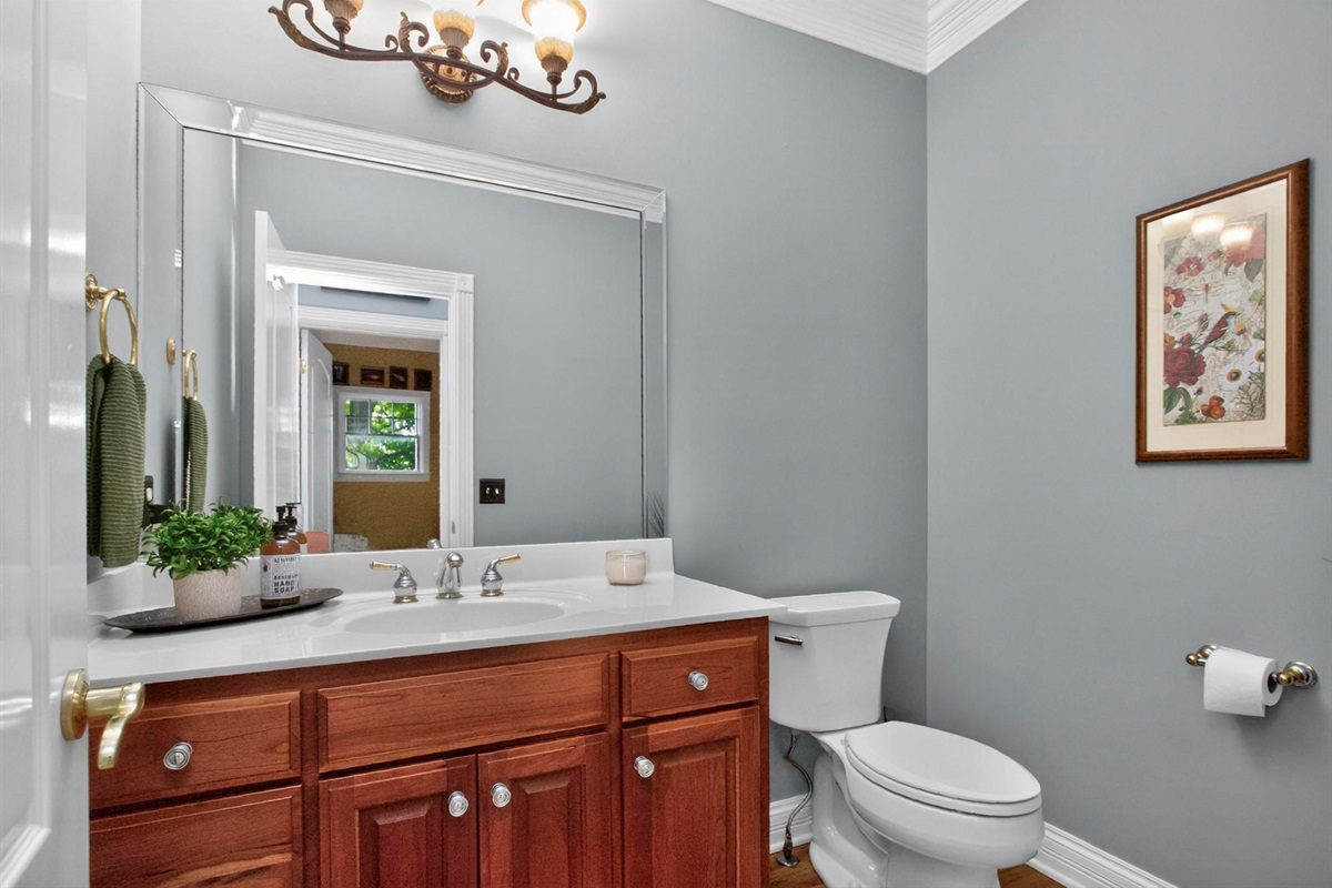 Powder Room Downstairs