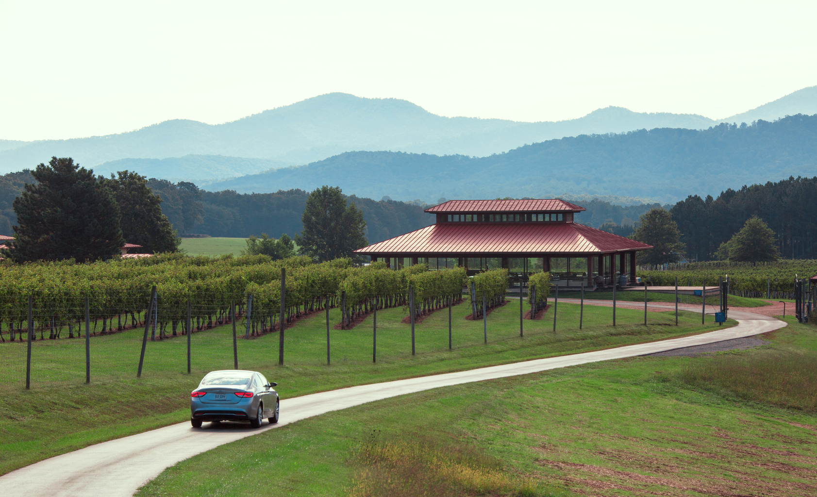 Wine tasting and wineries along Nelson 151 near Wintergreen