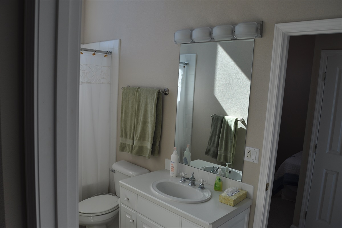 Bathroom Downstairs View 2 (jack and jill bathrooms)