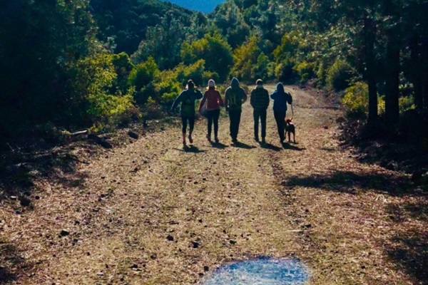 hiking trail Mt. Konocti