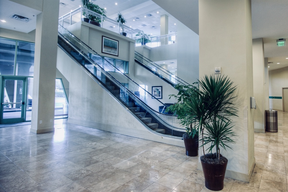 Escalators, and bell hop carts, make everything easier for our Guests.