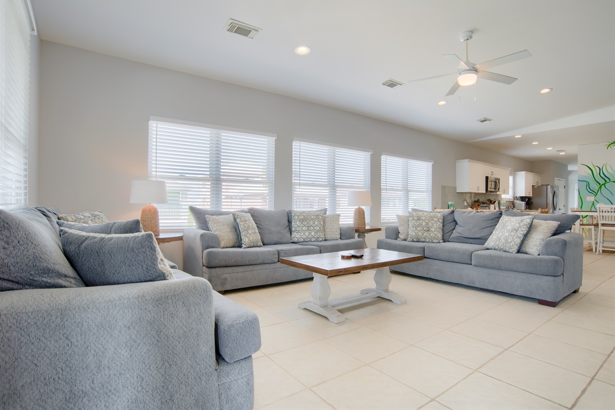 Big living room with a sleeper sofa