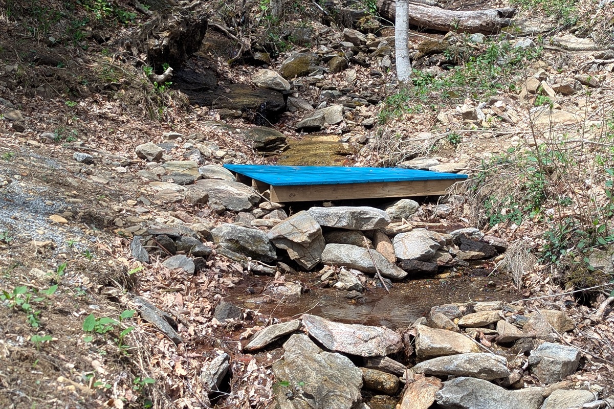 Fiddle Creek with small walking bridge.