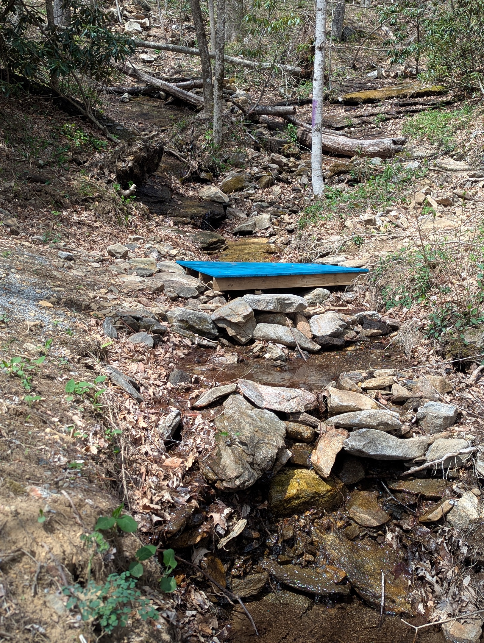 Fiddle Creek with small walking bridge.