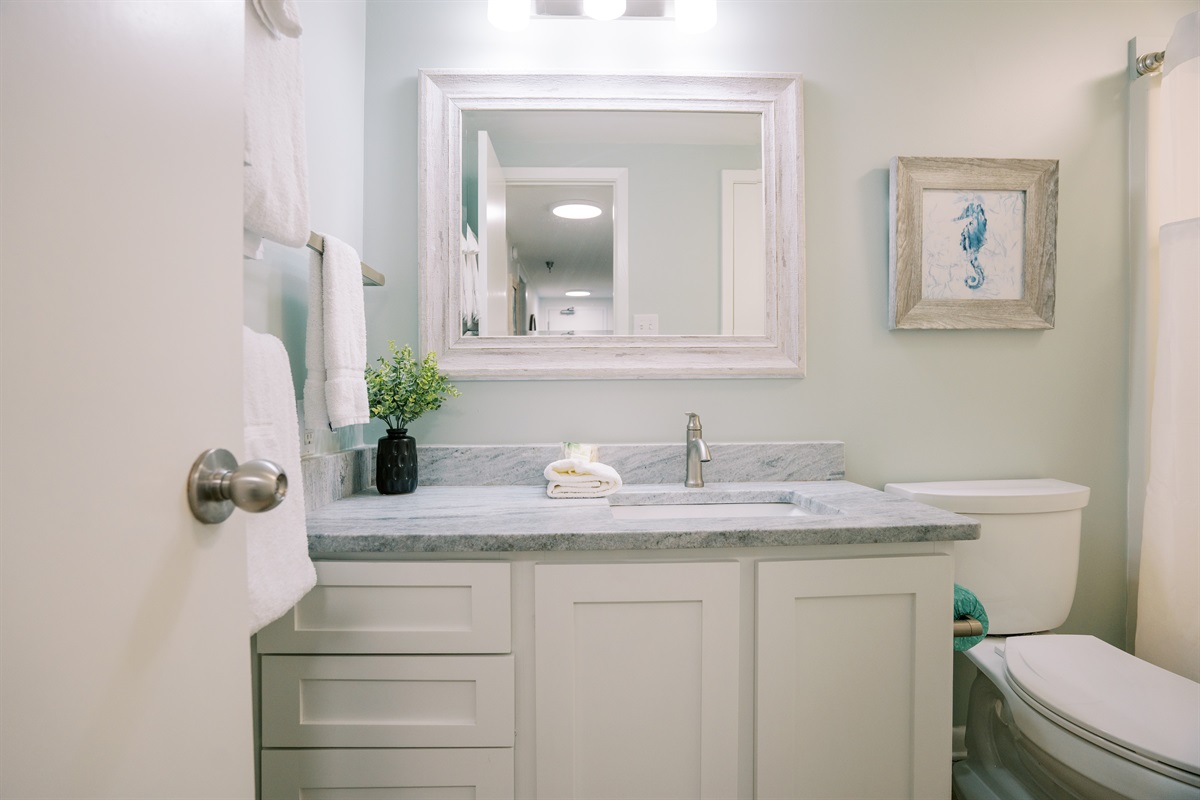 Newly remodeled cabinets, hardware, paint, sinks - luxury in every nook~
