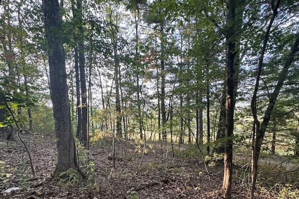 Nestled among mature trees, the property offers a peaceful woodland vibe plus a charming children’s play area—ideal for families to relax while the kids explore and enjoy nature.