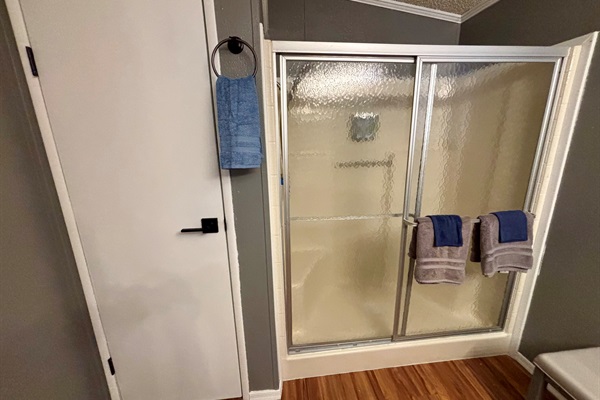 Master Bathroom Shower