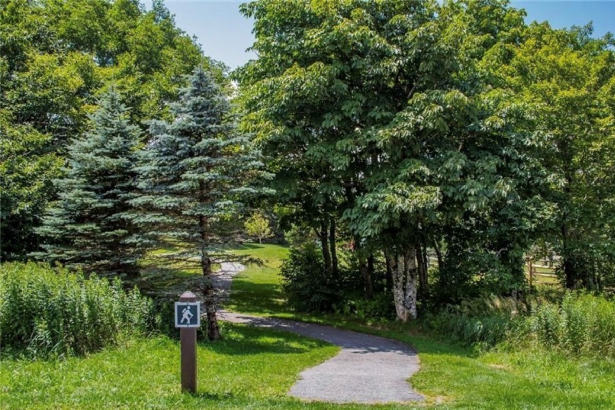 Tons of hiking trails to explore the mountain