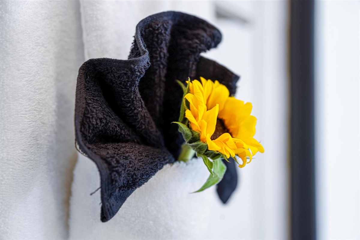 Towels and makeup towels