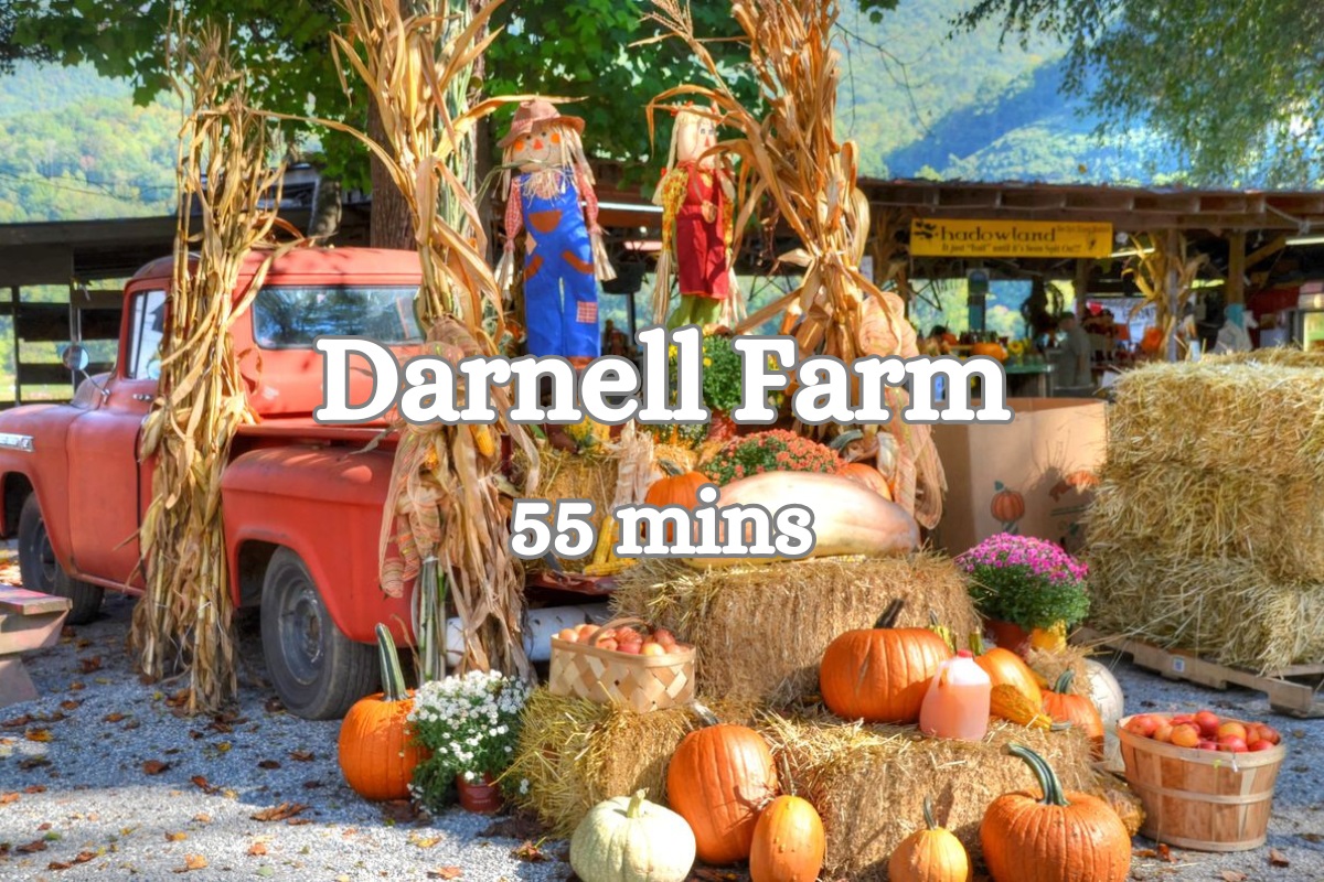 Local Attractions: Discover charming Darnell Farm's harvest wonders just 55 minutes away!