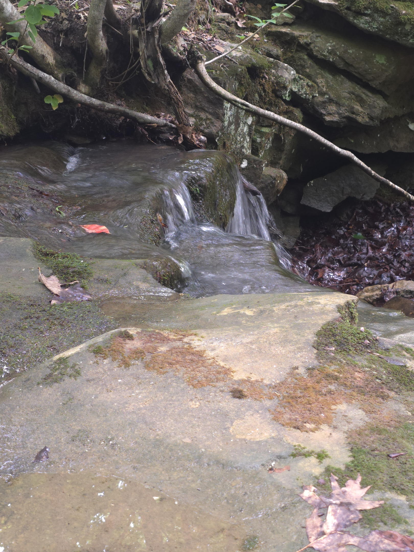 Waterfall Next To The Cabin