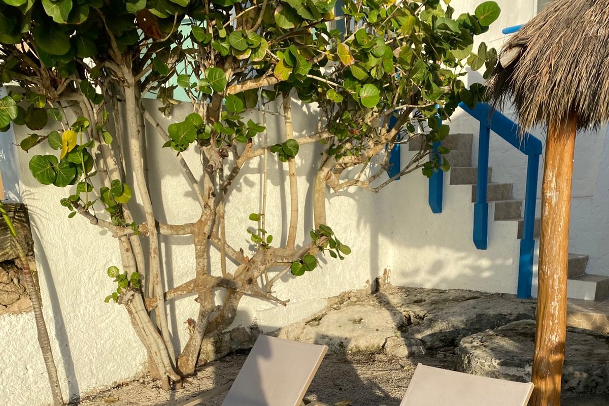 Beach with Lounge Chairs Facing Ocean, Shared with North Bungalow