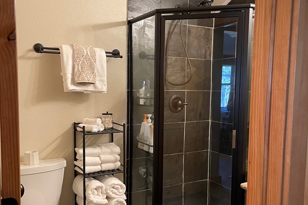 Master bathroom shower