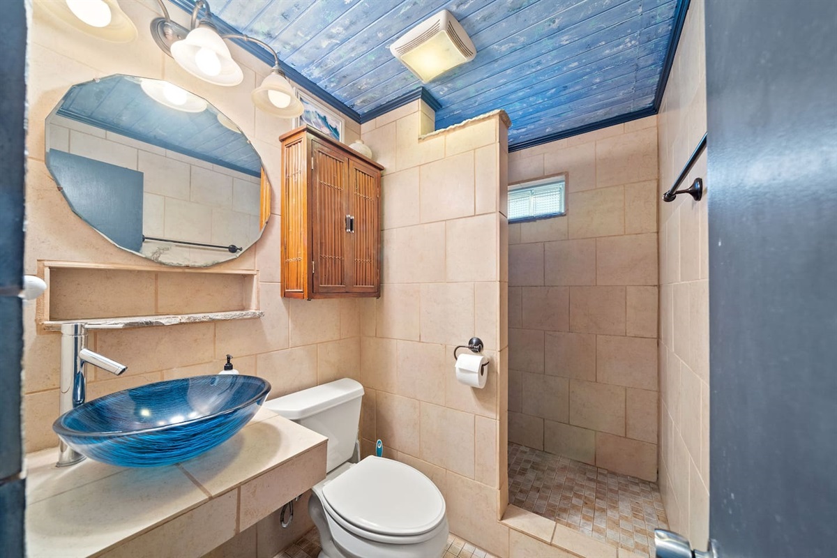 Walk-in shower - basics starter soaps provided!