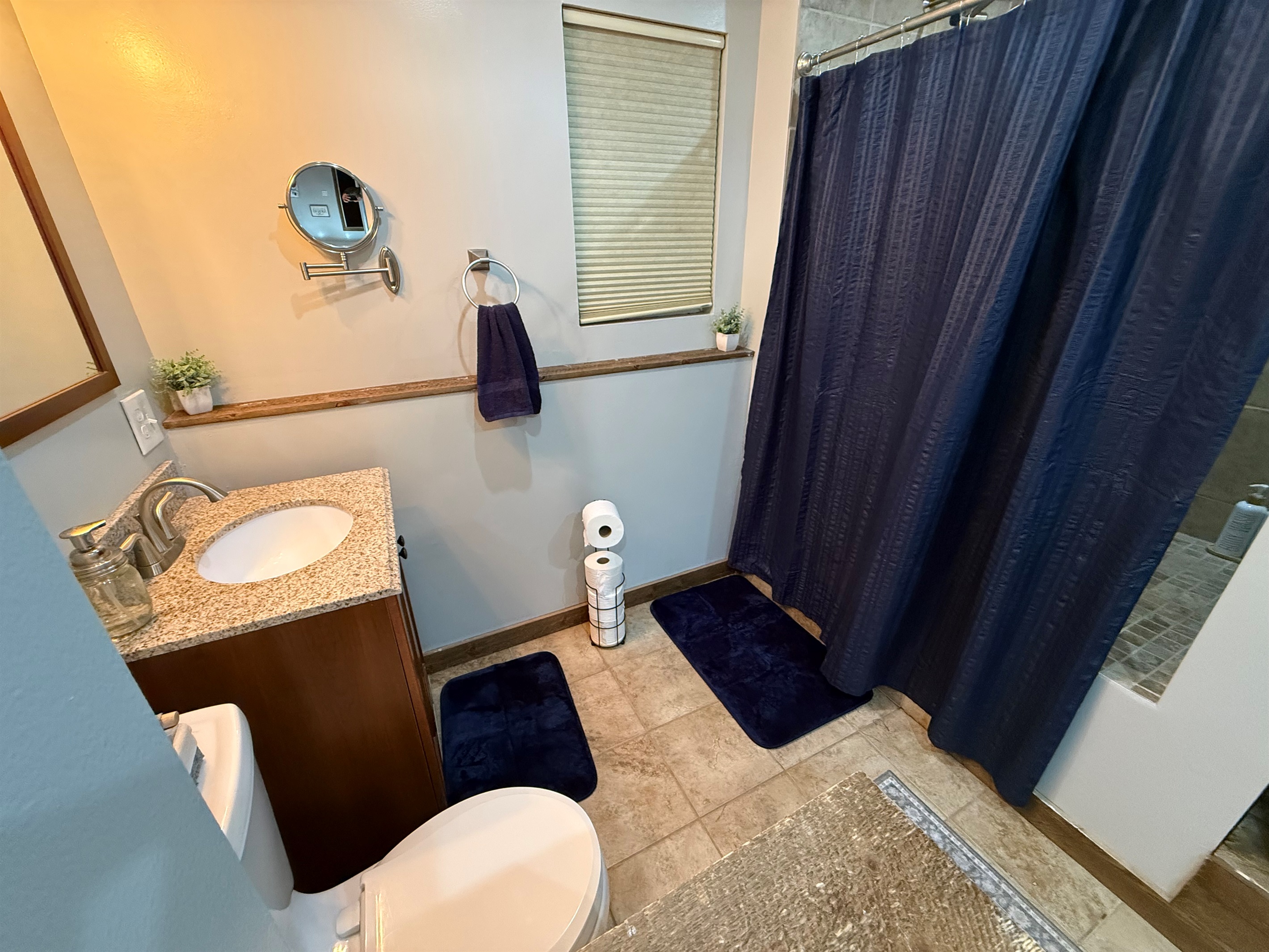 Downstairs bathroom / shower