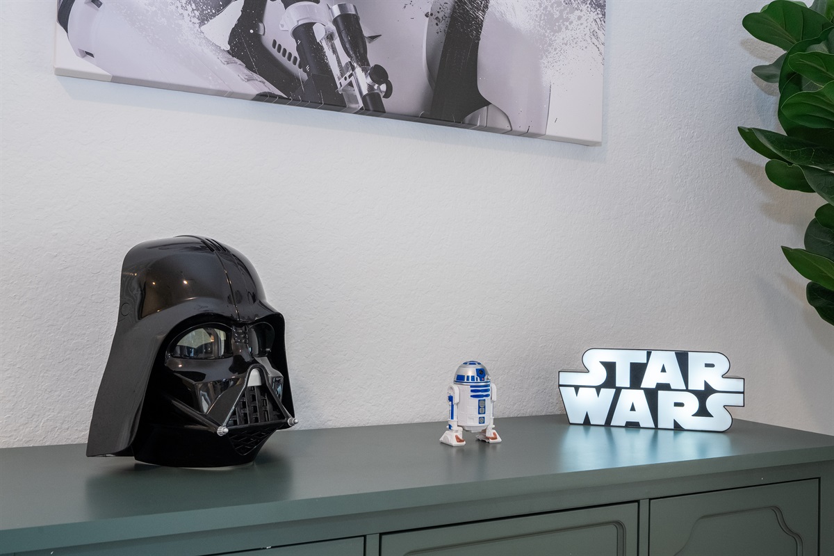 Star Wars Master Bedroom