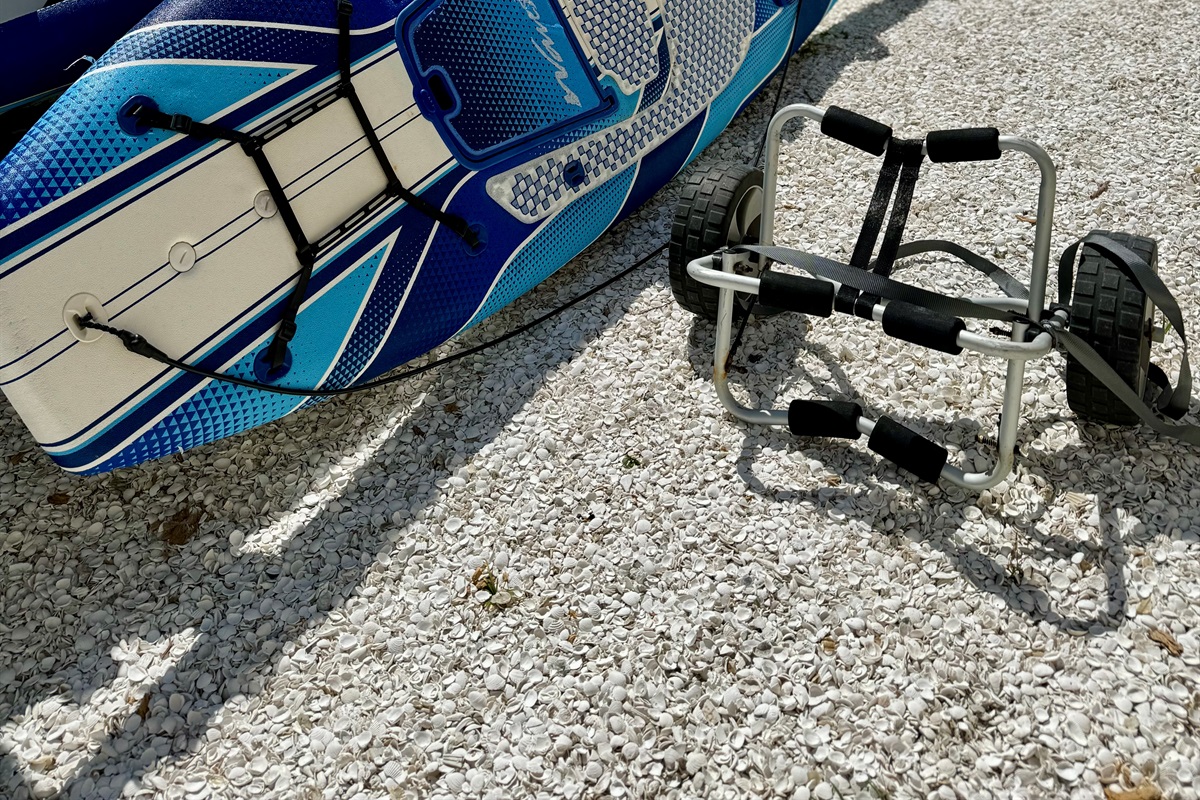 Paddle Board Rentals