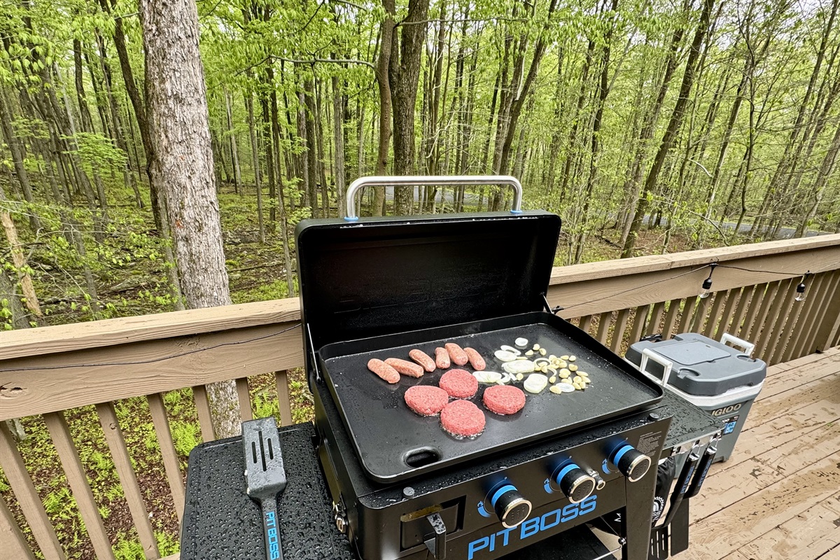“The PitBoss grill — effortless outdoor feasts made easy.”