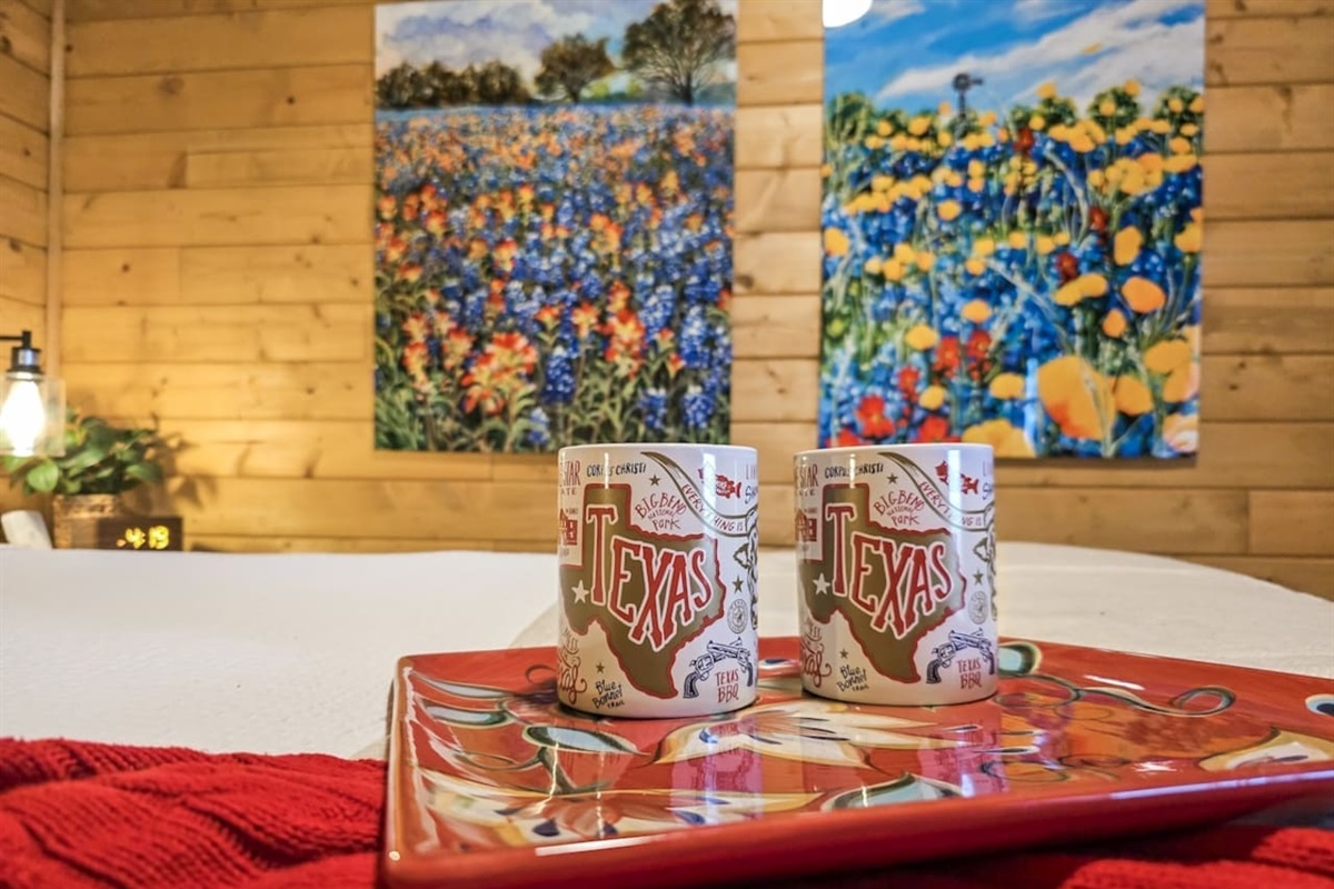 Unwind in this cozy Texas-themed bedroom, where vibrant local art and warm accents make it the perfect retreat after a day of Hill Country adventures.