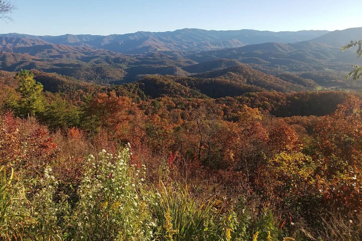 Fall colors in the area