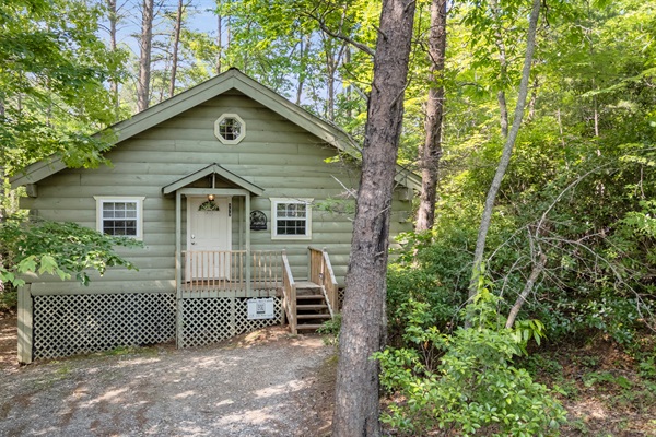 Surrounded by nature in every direction. This drone view shows how tucked-away and tranquil Honey Bee Cabin truly is.