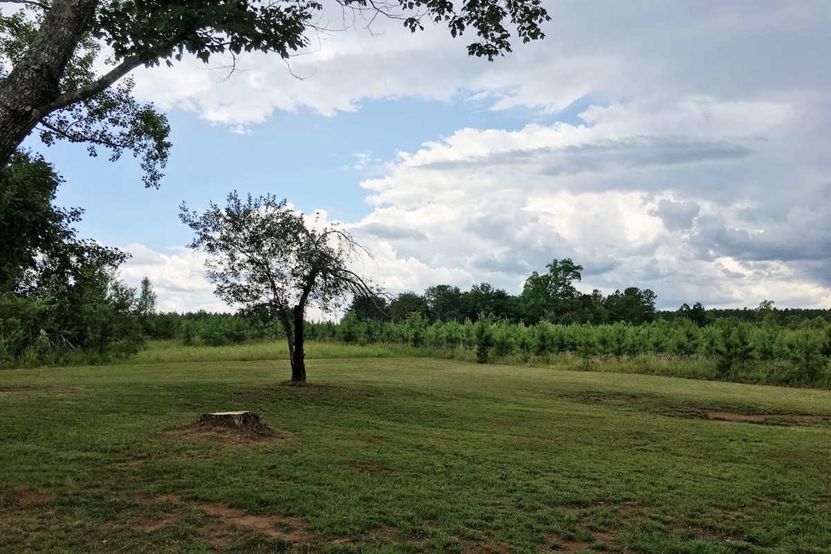 Rear View-Drama before the storm!
