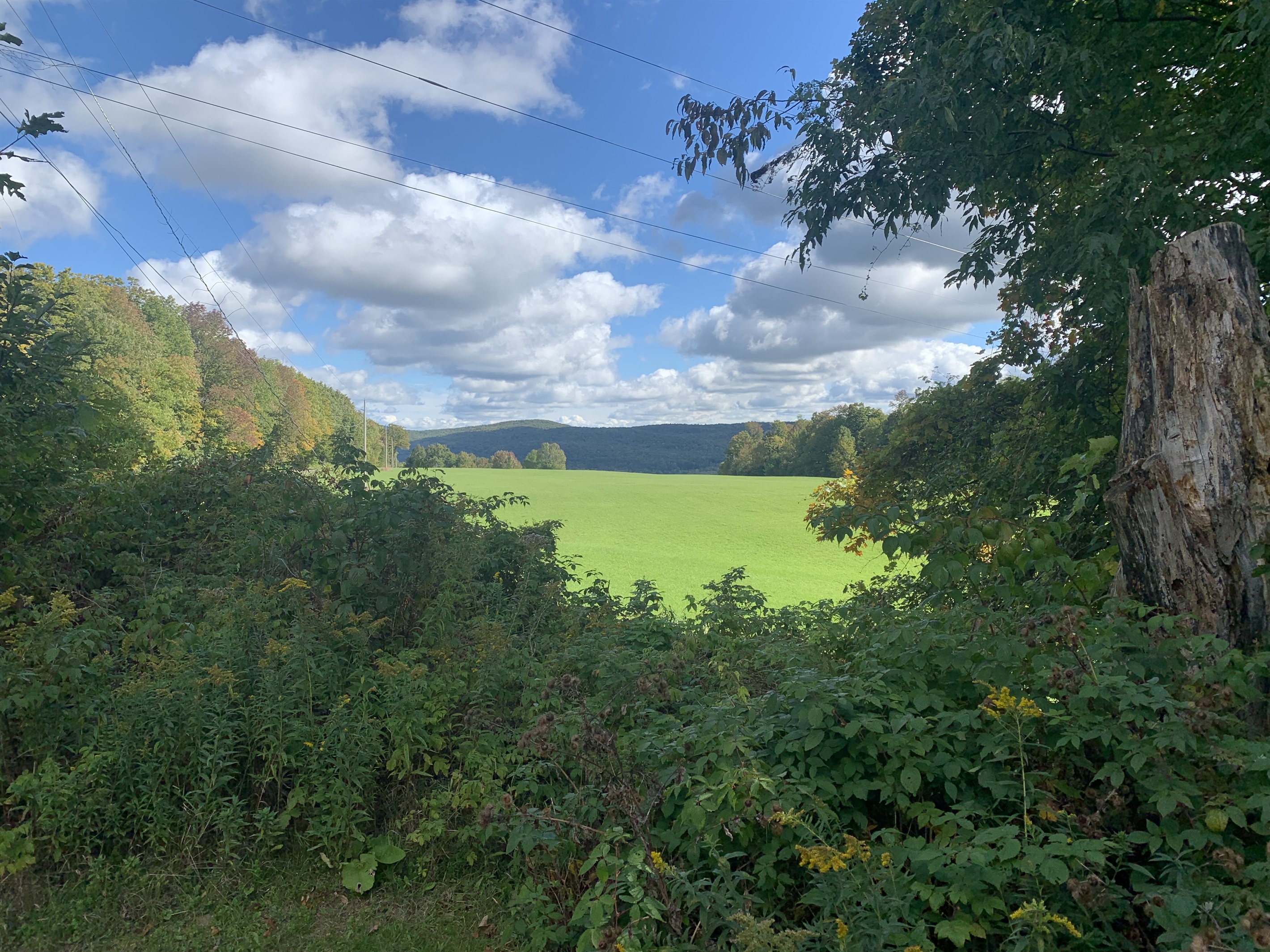 View from kitchen