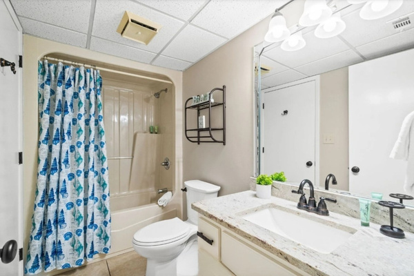 Guest bathroom