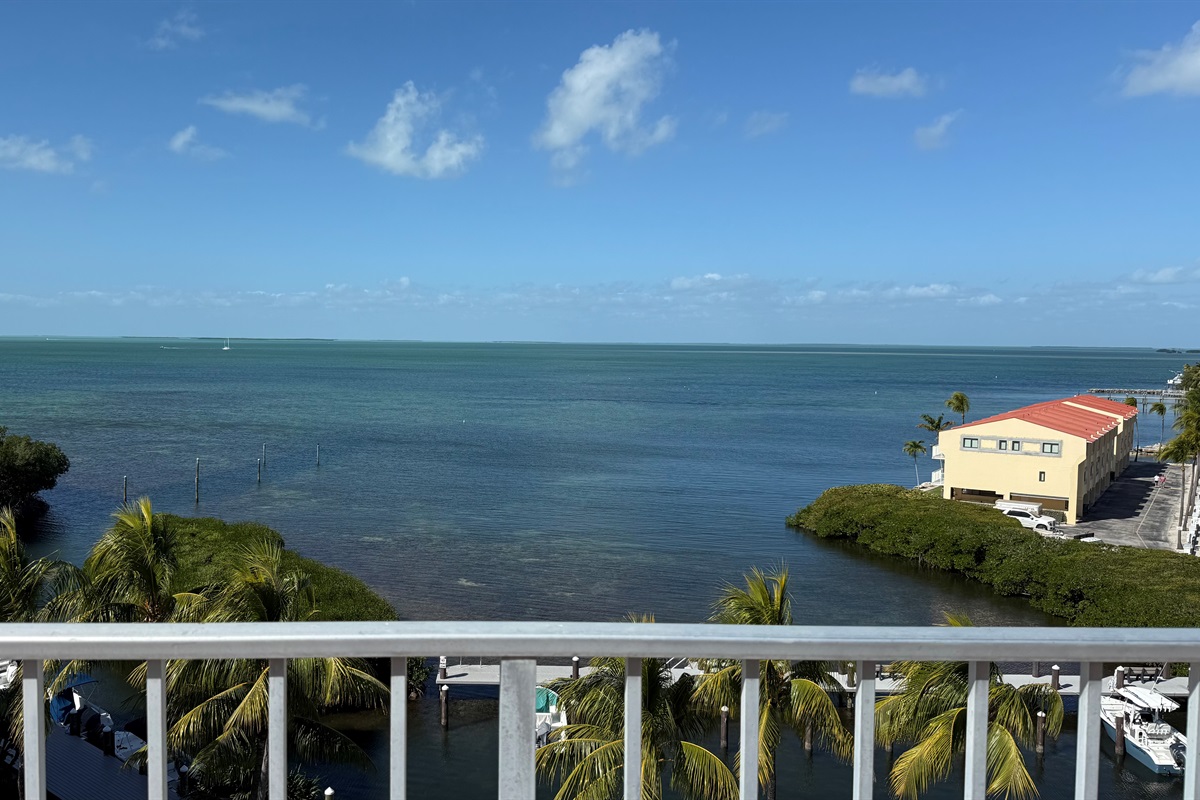 View from rooftop deck