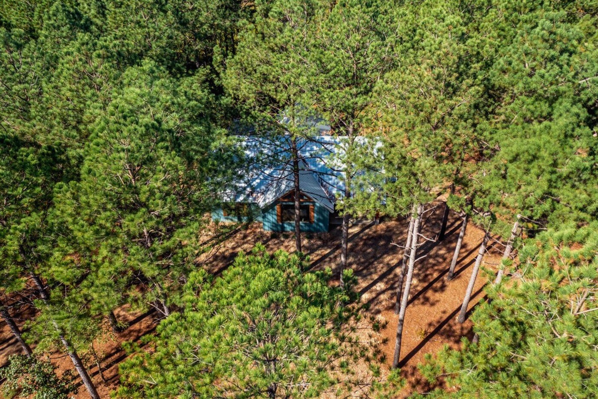 From above, the cabin's secluded charm becomes part of the woodland landscape.