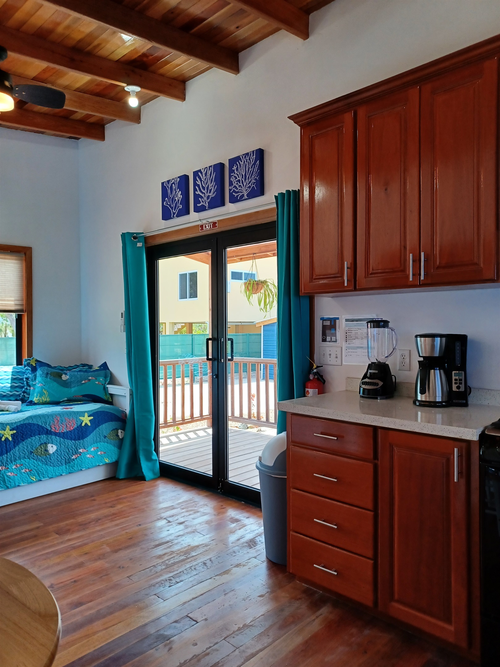 Starfish kitchen with blender and coffee maker