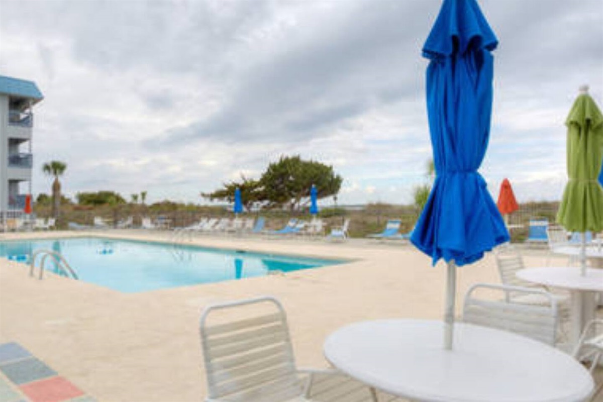 Tybee Happy! Dolphins, Pools, Oceanfront Condos Island Vacation Rentals