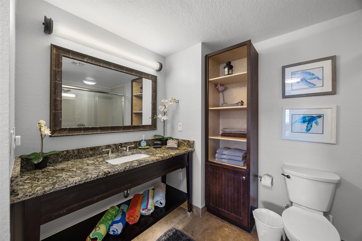 Primary bath, walk-in shower