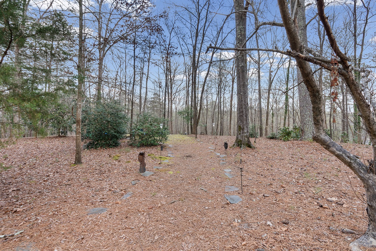 Direct access to the Marshall Forest Trail from our backyard
