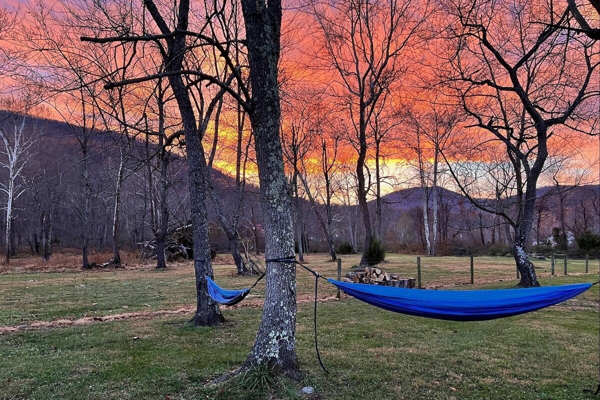 Winter sunset