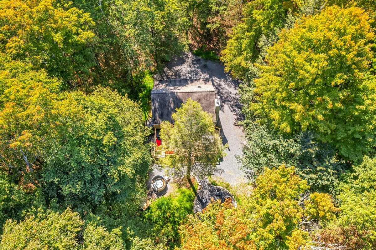 Aerial View of The Pine Cabin