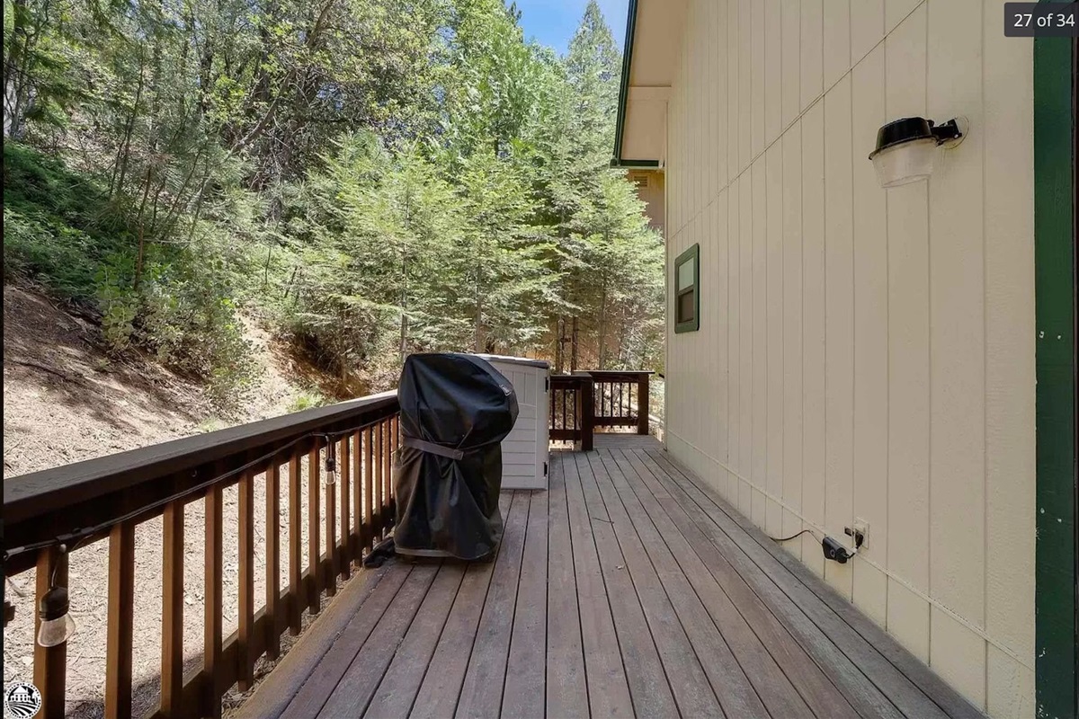 Side deck and bbq