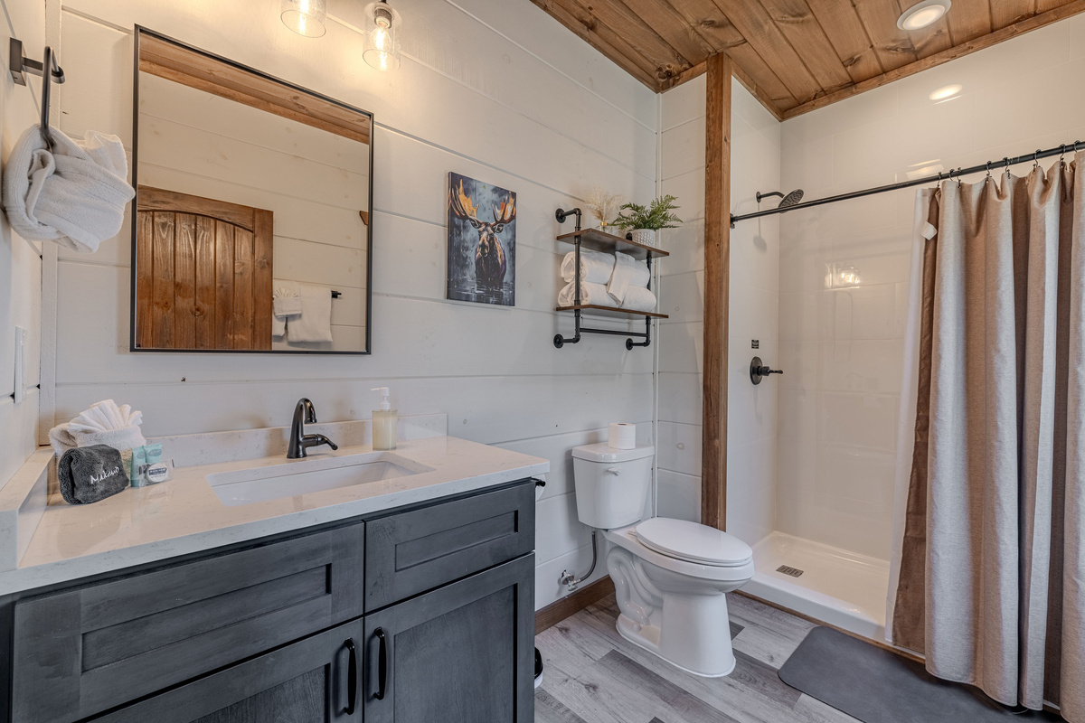 Full bathroom with a spacious vanity and walk-in shower.